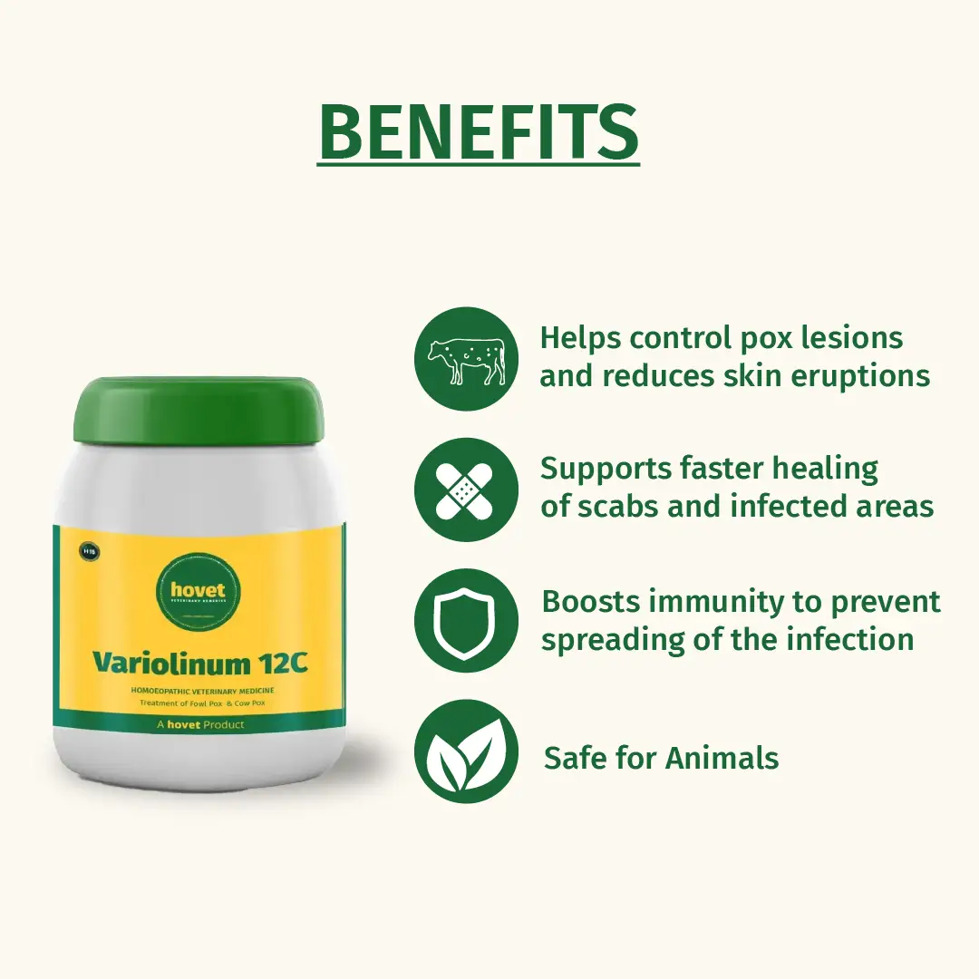 VARIOLINUM 12C