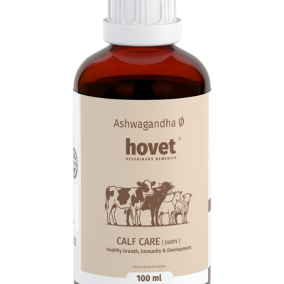 ASHWAGANDHA Ø ( CALF CARE)