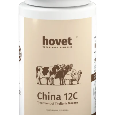 CHINA 12C