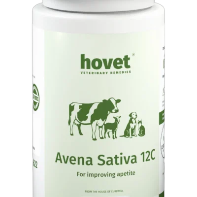 AVENA SATIVA