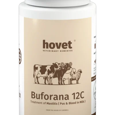 BUFORANA 12C