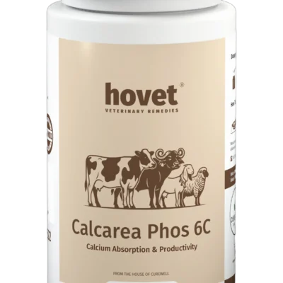 CALCAREA PHOS 6C