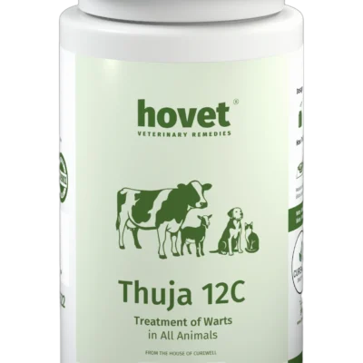 THUJA 12C